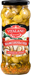 ШАМПИНЬОНЫ